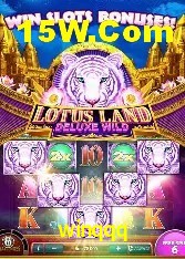 Casino Ao Vivo winqqq