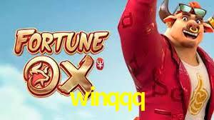 winqqq
