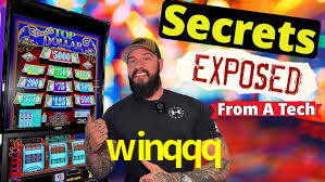 winqqq,winqqq.com